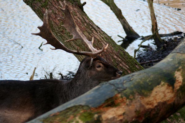 Killikus® Fotographie Killikus® Fotographie